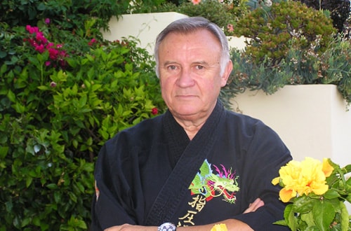 José Castro Guimarães, Mestre